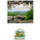 2012/2013 Annual Report