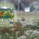 The Importance of Stewarding Our Mountains