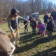 A Wonderful Day at the Park