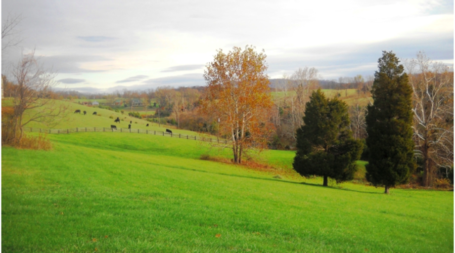At&T Short Hill Cell Tower Fact Sheet