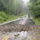 Happenings Around the Blue Ridge 7/14/22