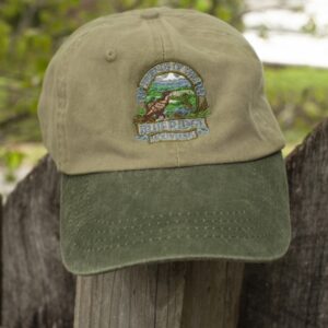 Logo Hat