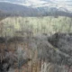 Clarke Democrats declare opposition to proposed Loudoun County resort